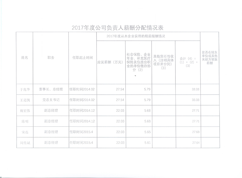 2017年度公司負責人薪酬分配情況表
