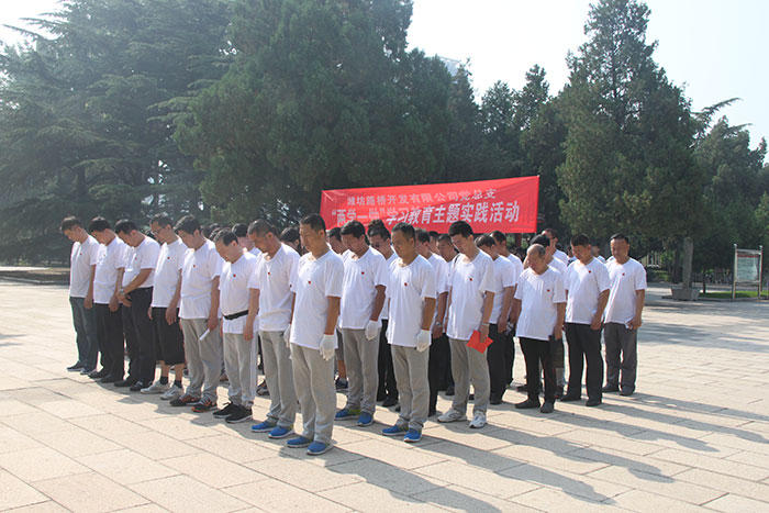 公司開展“兩學(xué)一做”學(xué)習(xí)教育主題實(shí)踐活動